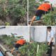 Warga Binaan Lapas Banjarmasin Rawat Kebun Tomat Secara Mandiri