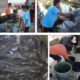 Warga Binaan Lapas Banjarmasin Sortir 15 Kilogram Ikan Lele