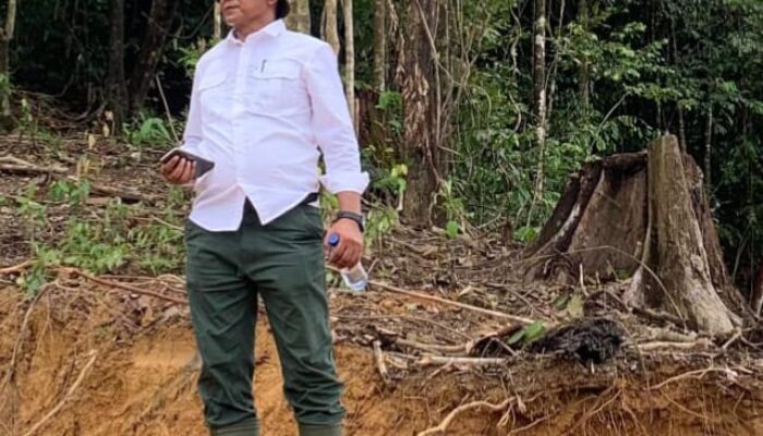 PT KIM Buka Suara Terkait Tuduhan Penyerobotan Lahan Masyarakat, Itu Tidak Benar