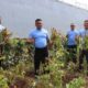 Program Ketahanan Pangan Lapas Narkotika Karang Intan Dimulai Dengan Penanaman Kedelai