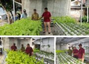 Lapas Banjarmasin Dorong Kemandirian Warga Binaan Melalui Pertanian Hidroponik