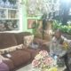 Patroli dan Sambang Dialogis Bhabinkamtibmas di Rumah Warga Pasar Baru