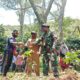 Jelang HUT TNI Ke-80, Koramil 1715-02/Kiwirok Kodim 1715/Yahukimo Bersama Masyarakat 12 Desa di Distrik Kiwirok Melaksanakan Penanaman Pohon Kopi
