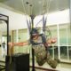 Tentara Diraja Malaysia Coba Simulasi Terbang VPRS