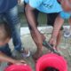 Warga Binaan Lapas Banjarmasin Ikuti Kegiatan Penyortiran Ikan Lele Di Area Kolam Pembesaran