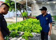 Program Hidroponik Lapas Banjarmasin Bekali WBP Keterampilan Berkebun Modern