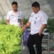 Lapas Kelas IIA Banjarmasin Kembangkan Pembinaan Kemandirian Melalui Pertanian Hidroponik