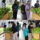 Produktif Dan Mandiri, Warga Binaan Lapas Banjarmasin Jual Sayuran Hasil Kerja Sendiri