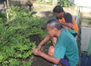 Warga Binaan Lapas Kelas II A Banjarmasin Asah Keterampilan Bertani Lewat Program Pembinaan Pertanian