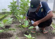 Semangat Warga Binaan Lapas Kelas IIA Banjarmasin Dalam Program Ketahanan Pangan