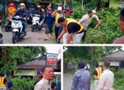 Camat Ciputat Turun Langsung Dampingi Penebangan Pohon Rimbun di Jalan Cendrawasih Raya