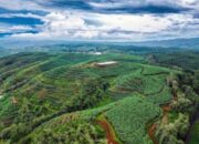 E Suhendi soroti tindakan melanggar aturan izin HGU swasta dan plat merah kuat adanya’ dugaan korupsi yang merugikan negara dan Rakyat