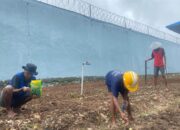 Kalapas Yugo Indra Wicaksi Apresiasi Semangat Warga Binaan dalam Kegiatan Pertanian