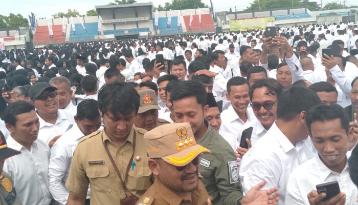 Tok! Honorer Di Pemalang Resmi Diangkat Jadi P3K Paruh Waktu