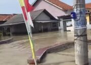 Banjir Pemalang Rendam Ratusan Rumah,Banyak Warga Memilih Bertahan Tidak Mengungsi*