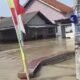 Banjir Pemalang Rendam Ratusan Rumah,Banyak Warga Memilih Bertahan Tidak Mengungsi*