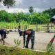 Jalankan Instruksi Presiden Prabowo, Satgas Pamtas Yonarhanud 2 Kostrad Adakan Karya Bakti dan Kurve di Desa Wini