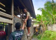 Personel TMMD Ke-127 Kodim 1514/Morotai Kerjakan Plester Dinding dan Pasang Triplek RTLH di Desa Mandiri