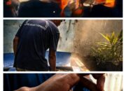 Manfaatkan Lahan Tidur, Lapas Cipinang Kembangkan Budidaya Ikan Hias dan Konsumsi