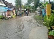 Hujan Deras Guyur Pemalang, Jalan Desa Mengori Kembali Terendam Banjir “Langganan”