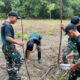 Hijaukan Perbatasan, Satgas Yonarhanud 2 Kostrad Tanam Cemara di Inbate