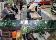 Respons Cepat BAZNAS Tangsel Tangani Dampak Pohon Tumbang Akibat Cuaca Ekstrem