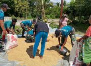 Bersama Rakyat, Yonarmed 12 Kostrad Sukseskan Pengelolaan Hasil Panen di Belu