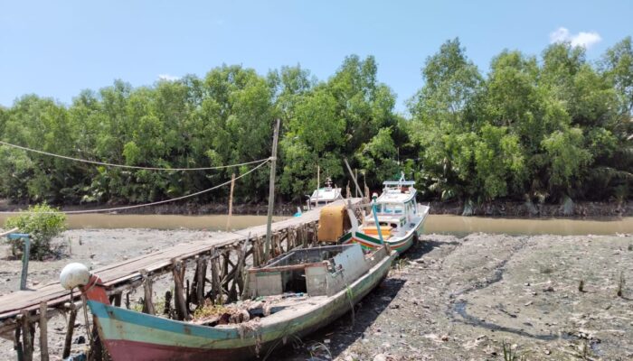 Sedimentasi Sungai Rangkui Kian Parah, HNSI Minta Pemerintah Segera Lakukan Normalisasi