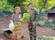 Lahan Bersemi Rakyatpun Menikmati, Satgas Pamtas Yonarhanud 2 Kostrad Bagikan Sayur Segar di Desa Napan