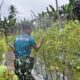 Yonarmed 12 Kostrad Bersinergi dengan Masyarakat Lalebun Wujudkan Pertanian Produktif