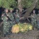 Yonarmed 12 Kostrad Gagalkan Penyelundupan 50 Krat Minuman di Perbatasan RI–RDTL