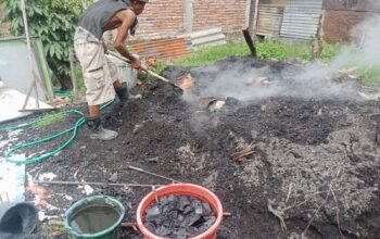 Dari Hobi Jadi Cuan,Remaja 16 Tahun di Pemalang Mampu Pelihara Ratusan Kambing