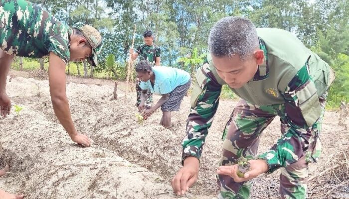 Manfaatkan Lahan Tidur, Satgas TMMD Ke-128 Kodim 1710/Mimika Tanam Jagung Bersama Warga