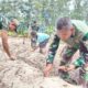 Manfaatkan Lahan Tidur, Satgas TMMD Ke-128 Kodim 1710/Mimika Tanam Jagung Bersama Warga