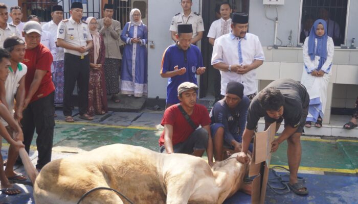 Bupati Pemalang Anom Widiyantoro Serahkan Hewan Qurban untuk Rutan Pemalang pada Idul Adha 1447 H