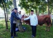 Divif 3 Kostrad Rayakan Idul Adha 1447 H, Daging Qurban Dibagikan kepada Warga