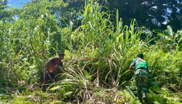 Dari Karya Bakti, Lahir Harapan Baru! Karya Bakti Prajurit Yonif TP 859/RBK dan Masyarakat Menjadi Berkah Untuk Sesama