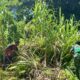 Dari Karya Bakti, Lahir Harapan Baru! Karya Bakti Prajurit Yonif TP 859/RBK dan Masyarakat Menjadi Berkah Untuk Sesama