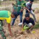 Hijaukan Batas, Tangkal Kebencanaan: Satgas Pamtas Yonarhanud 2 Kostrad dan Mahasiswa Permabi Tanam Pohon Bersama