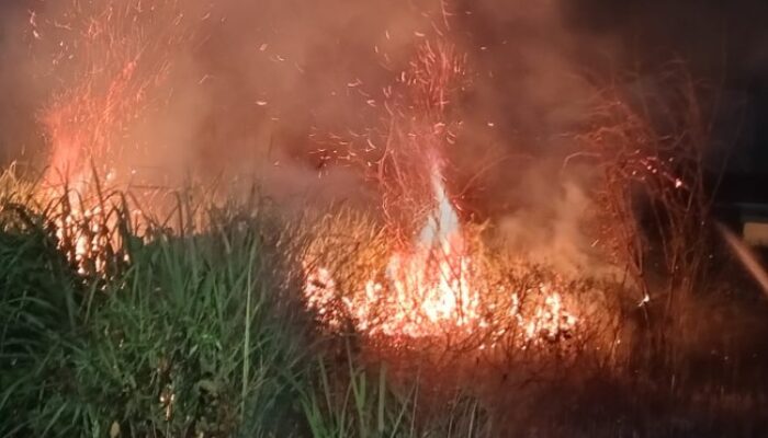Lahan Kering Dekat Pemukiman Warga Terbakar Buat Panik Penghuni