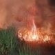 Lahan Kering Dekat Pemukiman Warga Terbakar Buat Panik Penghuni