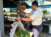 Warga Binaan Lapas Narkotika Karang Intan Berhasil Panen 50 Kg Kangkung di SAE 1