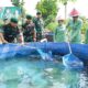 Keluarga Kuat, Prajurit Hebat: Pangdivif 2 Kostrad Berikan Motivasi kepada Keluarga Prajurit Yonarmed 12 