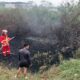 Kebakaran Lahan Milik Warga di Bantargebang, Yonarmed 7/Biringgalih Kerahkan Mobil Damkar Satuan beserta awak damkar untuk membantu Pemadaman