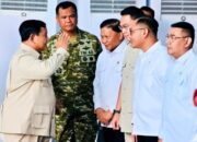Wapang TNI Hadiri Peresmian PLTS 100 GWp Tahap Pertama Oleh Presiden RI