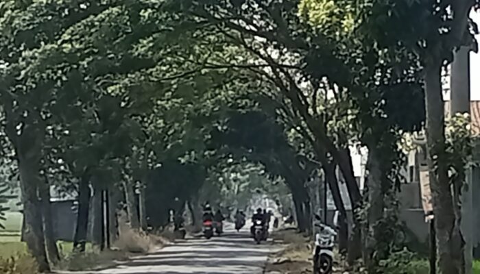 Jalan Ternate Jadi Jalur Alternatif Favorit Warga di Tengah Cuaca Ekstrem