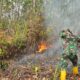 TNI Perkuat Penanganan Karhutla di Kawasan IKN Melalui Darat dan Udara