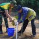 Pangdivif 3 Kostrad dan Prajurit Tanam 3.760 Pohon di Maros