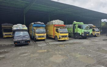 Hujan Turun, Listrik Padam: Petani Nagan Raya Hadapi Kendala Pengeringan Gabah