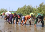 Yonarmed 6/Tamarunang Kostrad Tanam Mangrove, Jaga Ekosistem Pesisir Takalar